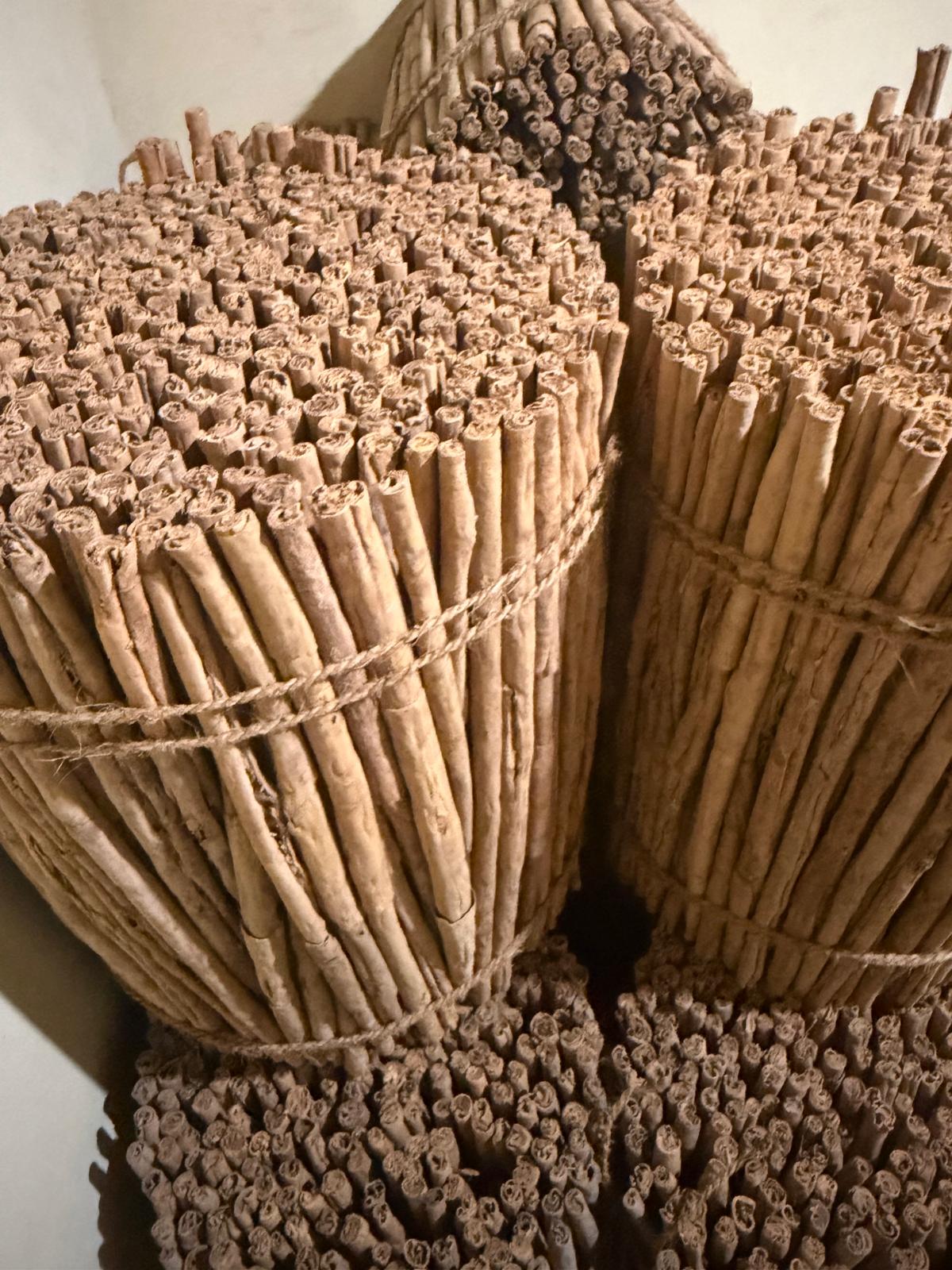 Bundles of Ceylon cinnamon quills photographed at the local business
