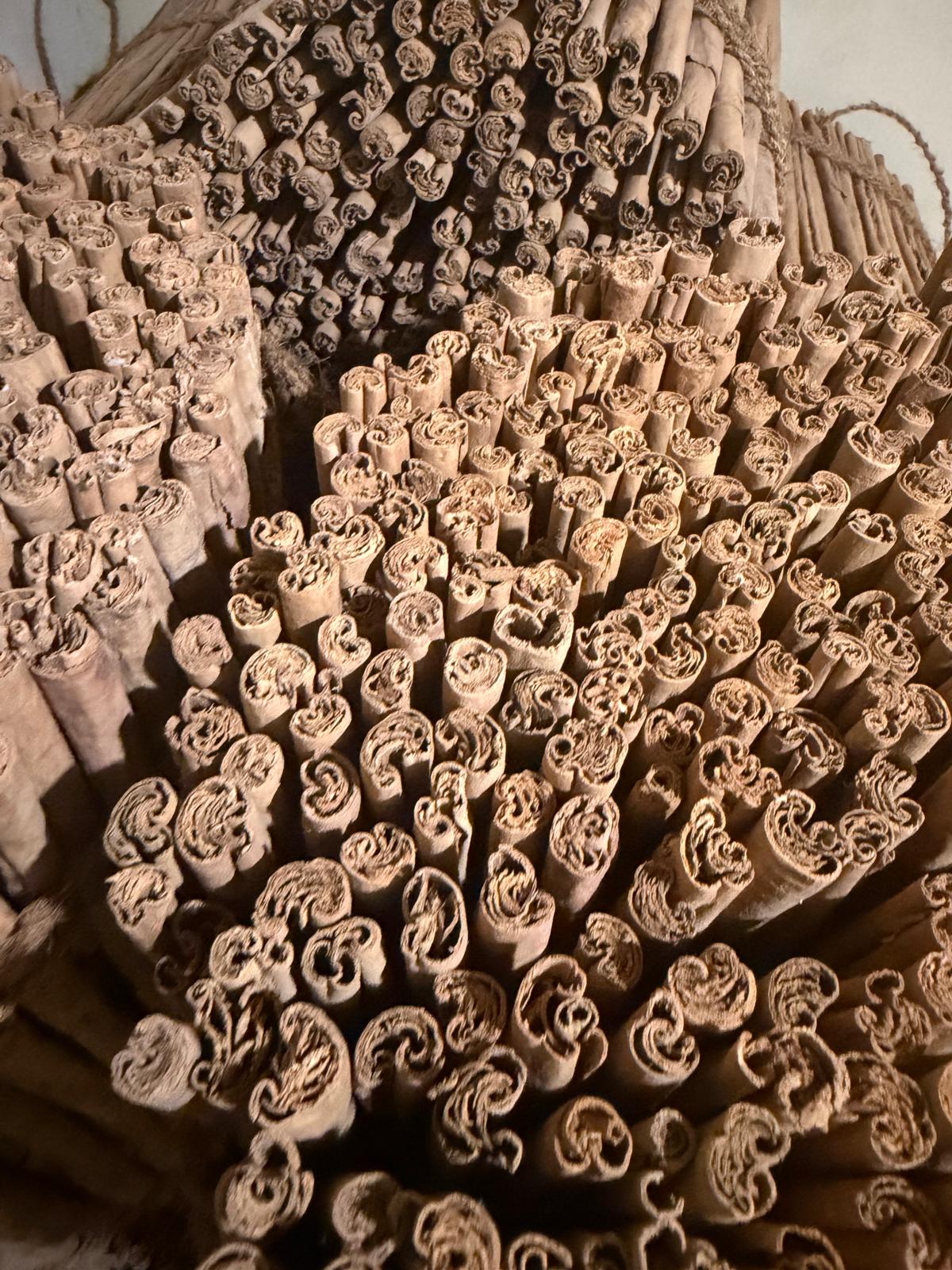 Close view of layered Ceylon cinnamon quills at the local business