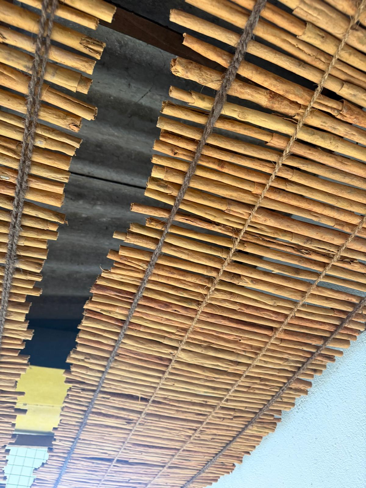 Ceylon cinnamon quills drying in hanging rows at the local premises